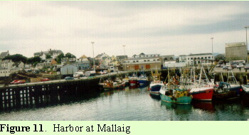Harbor at Mailaig
