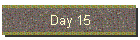 Day 15