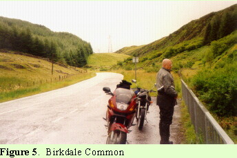 Birkdale Common