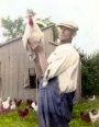 Leslie Deitz at their chicken farm. Leslie Deitz at their chicken farm.