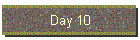 Day 10