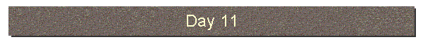 Day 11