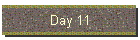 Day 11