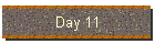 Day 11