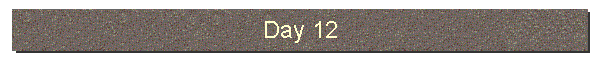 Day 12