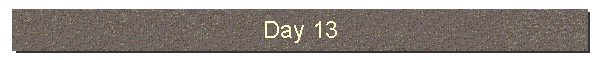 Day 13