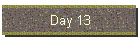 Day 13