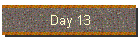 Day 13