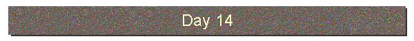 Day 14