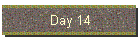 Day 14