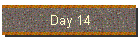 Day 14