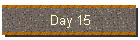 Day 15