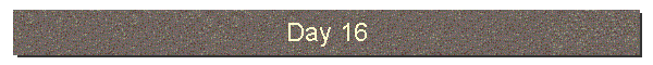 Day 16