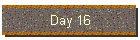 Day 16