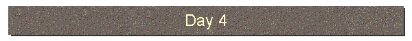 Day 4