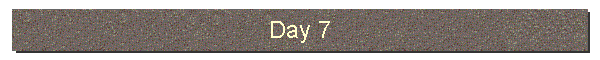 Day 7