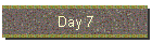 Day 7