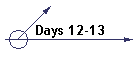 Days 12-13